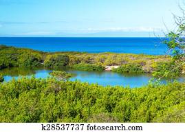 Lagoon and Ocean