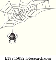 pretas, aranha, com, teia, fundo