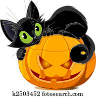 schwarze katze schwarze katze