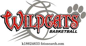 wildcats, basquetebol