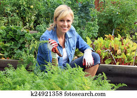 Woman vegetable garden Woman vegetable garden