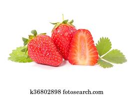 strawberry strawberry