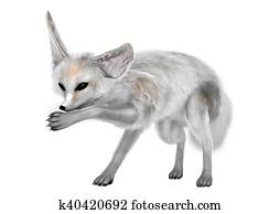 3D Rendering Fennec Fox on White 3D Rendering Fennec Fox on White