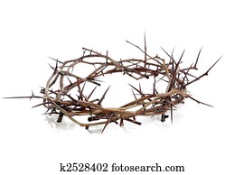 Crown of thorns on a white background Crown of thorns on a white background