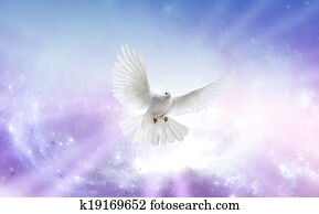 espírito sagrado, pomba