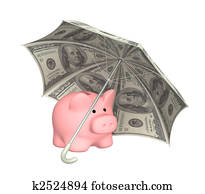 Financial protection