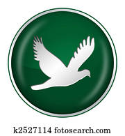 green dove green dove