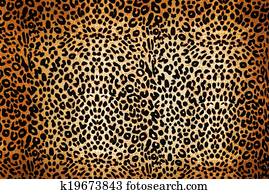 leopard pattern leopard pattern