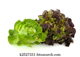 Lettuce assortment Lettuce assortment
