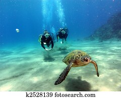 que, é, aquilo, com, tu, guys?