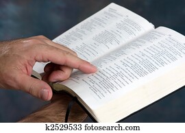 Reading Bible Reading Bible