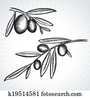 Olive tree Clipart | k6501584 | Fotosearch