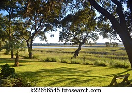 tidal, sal, pântano, ligado, um, dia ensolarado