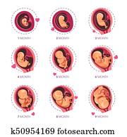 Embryo month stage growth pregnancy fetal development vector flat infographic icons Embryo month stage growth pregnancy fetal development vector flat infographic icons