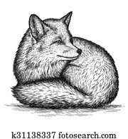 engrave fox illustration engrave fox illustration
