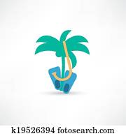 Palm tree Palm tree