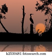 silhouette view of bird on a branch, wildlife silhouette view of bird on a branch, wildlife
