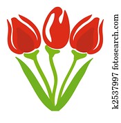 tulips tulips