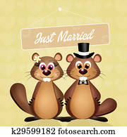 Wedding of marmots Wedding of marmots