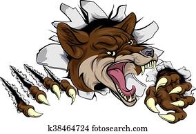 coiote, mascote, rasgando, saída