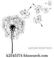 dandelions
