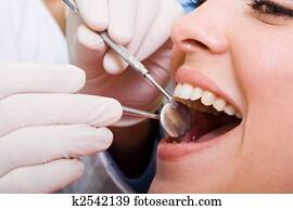 dental checkup dental checkup