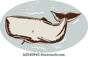 Whale swimming Whale swimming