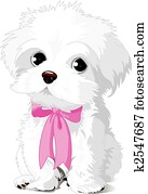 White Puppy White Puppy