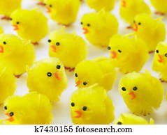 Abundance Of Easter Chicks