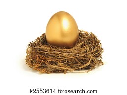 Golden nest egg representing retirement savings Golden nest egg representing retirement savings