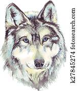 Wolf head profile Wolf head profile