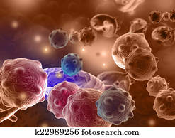 cancer cell cancer cell