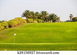 Golf Green Grass Fiel