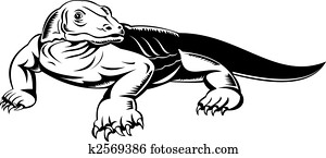 komodo dragon komodo dragon