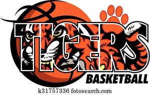 נמרים, כדור סל