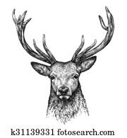 engrave deer illustration engrave deer illustration