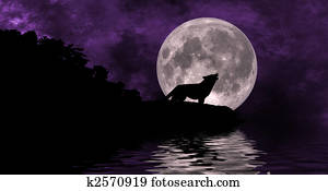 Wolf Moon Wolf Moon