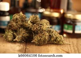 cannabis, komandējums, concept., medicīnas students, marihuāna, kaņepes, un, eļļas krāsas