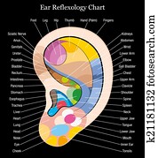 Ear reflexology chart description b