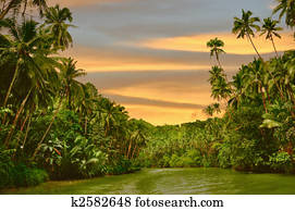 floresta tropical, rio, pôr do sol