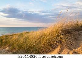 Great Lakes Sand Dune
