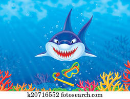 Shark Shark