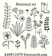 Botanical illustration, hand drawn wild flowers and herbs collection, vector botany design elements Botanical illustration, hand drawn wild flowers and herbs collection, vector botany design elements