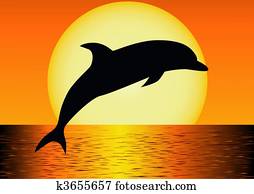 Dolphin silhouette Dolphin silhouette