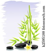 zen, zusammensetzung zen, zusammensetzung