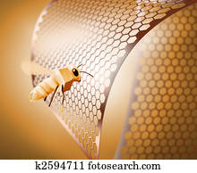 זהוב, דבורה