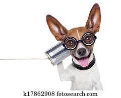 dog on the phone dog on the phone