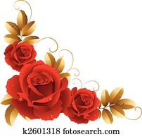 roses roses