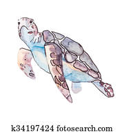 Sea turtles. Ocean . Sea turtles. Ocean .
