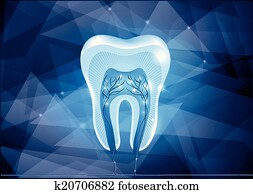 Tooth cross section design Tooth cross section design